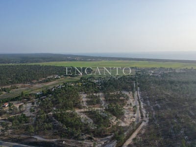 /international/pt/comporta-setubal-municipality-310107047169/