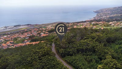 /international/pt/estr-santo-antonio-da-serra-189-9100-santa-cruz-portugal-ilha-da-madeira-madeira-310105101317/