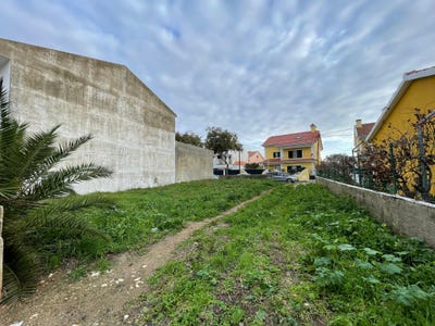 /international/pt/rua-dos-pinheiros-sao-domingos-de-rana-lisbon-310101846746/