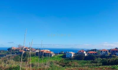 /international/pt/caminho-chao-ilha-da-madeira-madeira-310101598909/