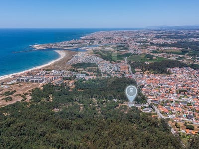 /international/pt/arvore-porto-310103553364/