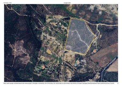 /international/pt/sao-teotonio-beja-310100536820/