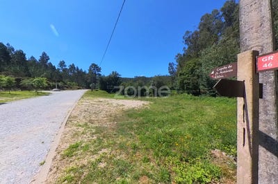 /international/pt/braga-braga-120086088023/