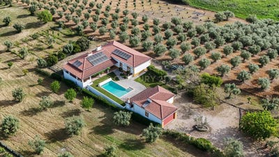 /international/pt/r-martanas-vv-casa-do-cabeco-da-azinheira-sao-vicente-do-paul-santarem-310107643897/