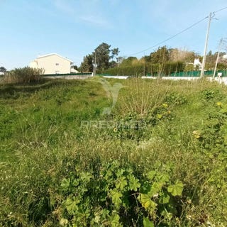 /international/pt/azeitao-sao-lourenco-e-sao-simao-setubal-setubal-municipality-310106934637/