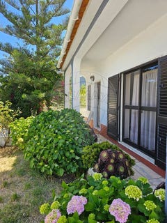 /international/pt/setubal-setubal-municipality-310100988339/