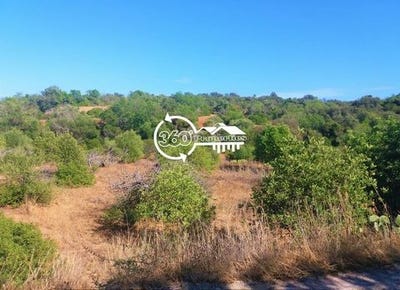 /international/pt/olhao-faro-120086463366/