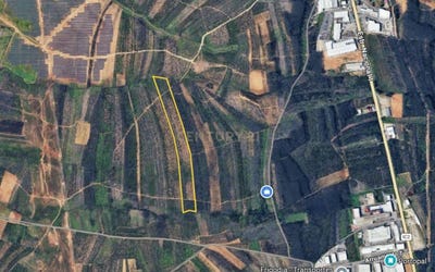 /international/pt/pg96-hh-3850-184-albergaria-a-velha-portugal-branca-faro-310106410039/