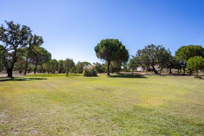 /international/pt/benavente-santarem-310105789510/