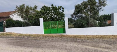 /international/pt/rua-catarina-eufemia-santo-isidro-de-pegoes-portugal-pegoes-setubal-municipality-310107268766/
