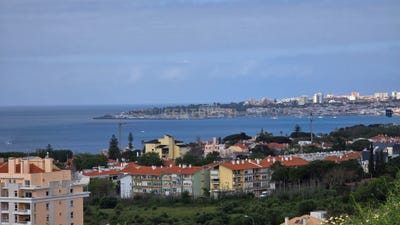 /international/pt/rua-das-papoilas-carcavelos-portugal-carcavelos-e-parede-lisbon-310104500180/