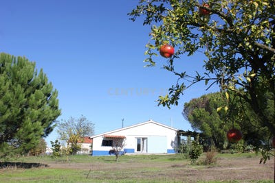 /international/pt/herdade-de-almada-santo-estevao-portugal-santo-estevao-santarem-310106419777/