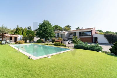 /international/pt/lagos-da-beira-e-lajeosa-coimbra-310108943307/?lang=de