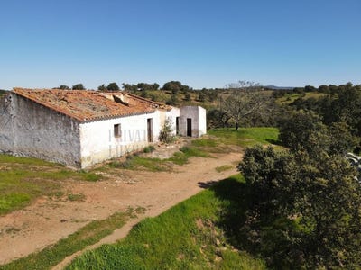 /international/pt/vila-verde-de-ficalho-beja-310098723418/