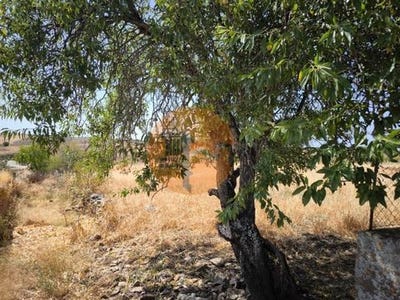 /international/pt/alcoutim-faro-310104007875/