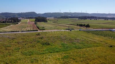 /international/pt/rolica-bombarral-portugal-rolica-leiria-310105186729/