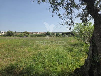 /international/pt/vila-nova-da-barquinha-vila-nova-da-barquinha-santarem-310108101808/