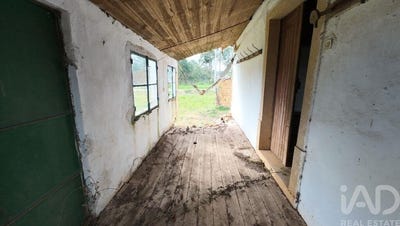/international/pt/pedrogao-grande-leiria-310105030540/