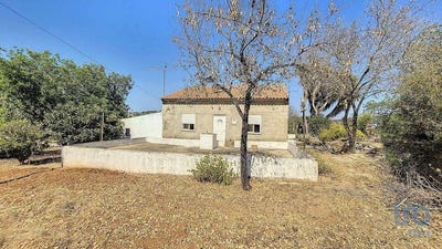 /international/pt/faro-faro-310094695086/