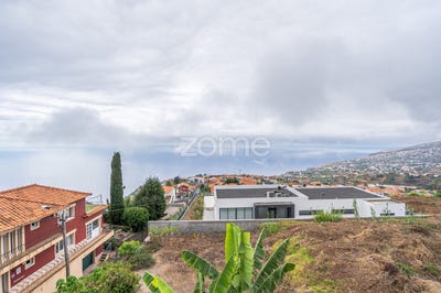 /international/pt/calheta-madeira-madeira-310095294707/