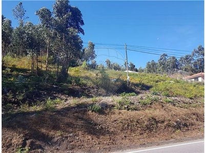 /international/pt/povoa-de-lanhoso-braga-310106287433/