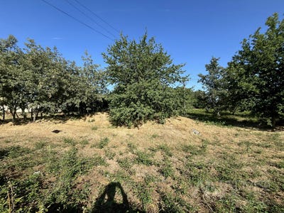 /international/pt/viseu-orgens-portugal-viseu-viseu-310109220792/