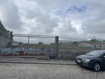 /international/pt/perosinho-porto-310108088263/