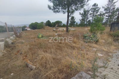 /international/pt/mangualde-viseu-310101945260/