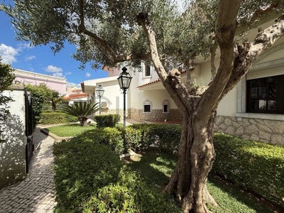 /international/pt/amora-setubal-municipality-310108277185/