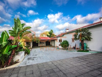 /international/pt/marinha-grande-leiria-310099423092/