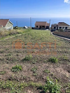 /international/pt/canhas-madeira-310107556213/