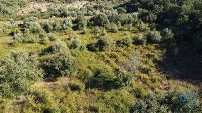 /international/pt/ferreira-do-zezere-santarem-120094599493/