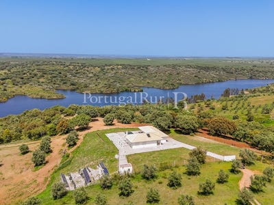/international/pt/avis-portalegre-310108650666/
