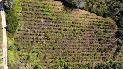 /international/pt/xmhm-hq-sobral-da-abelheira-portugal-azueira-e-sobral-da-abelheira-lisbon-310105989814/