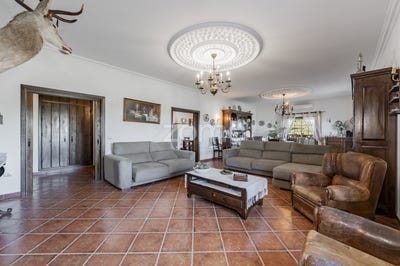 /international/pt/redondo-aveiro-310107641632/