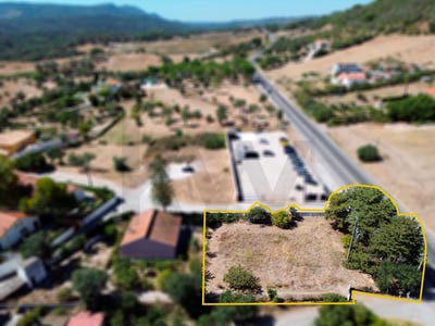 /international/pt/setubal-setubal-municipality-310099355335/
