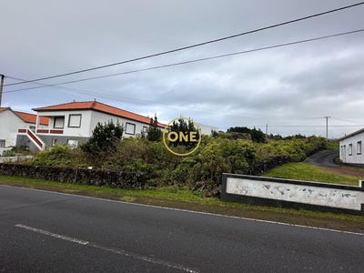 /international/pt/criao-velha-azores-310108211302/