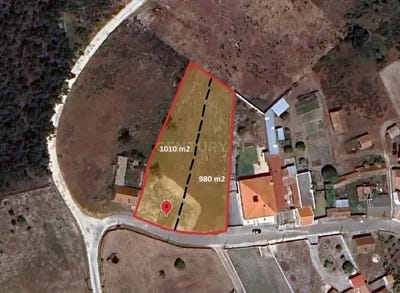 /international/pt/coimbrao-leiria-310100672932/