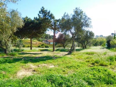 /international/pt/nadadouro-leiria-120054863416/