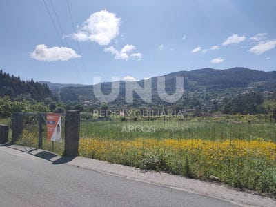 /international/pt/couto-de-baixo-e-couto-de-cima-viseu-310108953683/