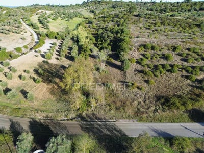 /international/pt/arneiro-das-milharicas-santarem-santarem-310095518282/