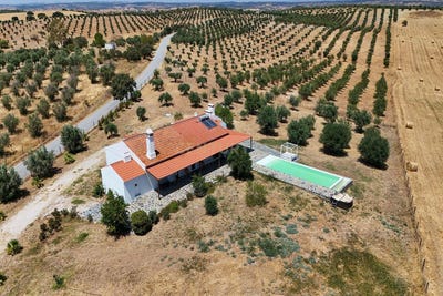 /international/pt/ferreira-de-capelins-portugal-capelins-santo-antonio-evora-310102640525/