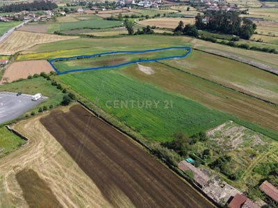 /international/pt/telo-povoa-de-varzim-balazar-portugal-balazar-braga-310107757745/