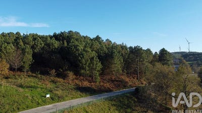 /international/pt/viseu-viseu-310102234489/