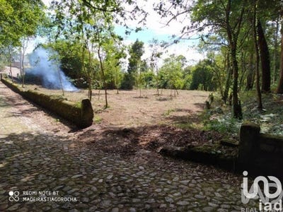 /international/pt/seixas-viana-do-castelo-310101187158/