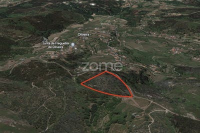 /international/pt/povoa-de-lanhoso-braga-120083060740/