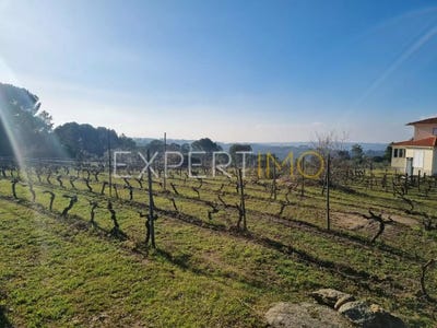 /international/pt/guarda-guarda-310105991317/