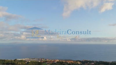 /international/pt/santa-cruz-madeira-310098744014/