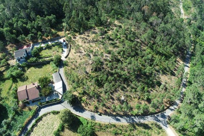 /international/pt/goduxo-viseu-portugal-abraveses-viseu-310100672316/
