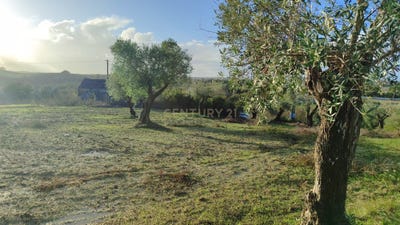 /international/pt/travessa-do-louco-sao-vicente-do-paul-portugal-sao-vicente-do-paul-santarem-310103584355/
